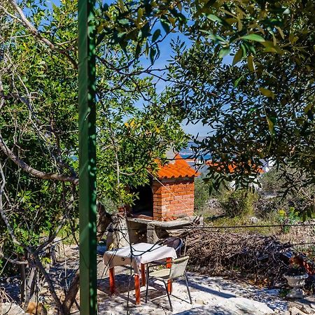 Apartments Stara Maslina Slatine Εξωτερικό φωτογραφία