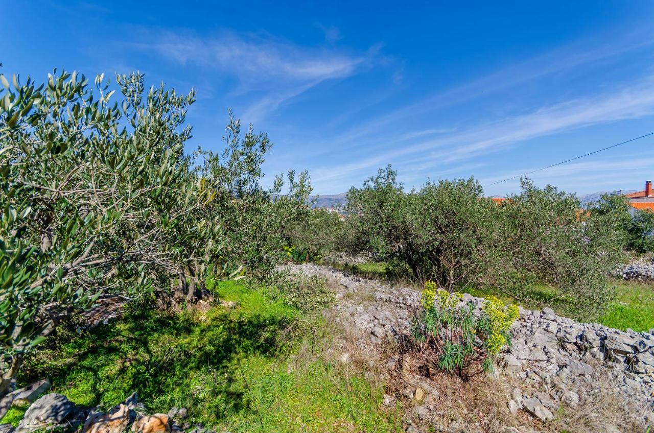 Apartments Stara Maslina Slatine Εξωτερικό φωτογραφία